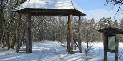 Zugang zum Klinger See durch ein riesiges Tor aus Baumstämmen – in der weißen Winterlandschaft