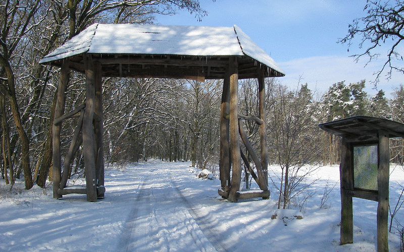 Zugang zum Klinger See durch ein riesiges Tor aus Baumstämmen – in der weißen Winterlandschaft