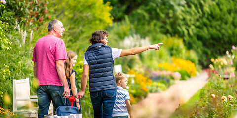 Das Foto zeigt Großeltern mit ihren Enkeln bei einem Spaziergang durch einen farbenprächtigen Rosenpark. Die Familie ist mit einem Bollerwagen unterwegs und umgeben von blühenden Rosen und grünen Bäumen. Die harmonische Gestaltung der Gartenanlage und die natürliche Umgebung verleihen der Aufnahme eine malerische Wirkung.