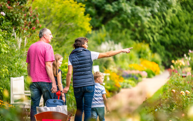 Das Foto zeigt Großeltern mit ihren Enkeln bei einem Spaziergang durch einen farbenprächtigen Rosenpark. Die Familie ist mit einem Bollerwagen unterwegs und umgeben von blühenden Rosen und grünen Bäumen. Die harmonische Gestaltung der Gartenanlage und die natürliche Umgebung verleihen der Aufnahme eine malerische Wirkung.