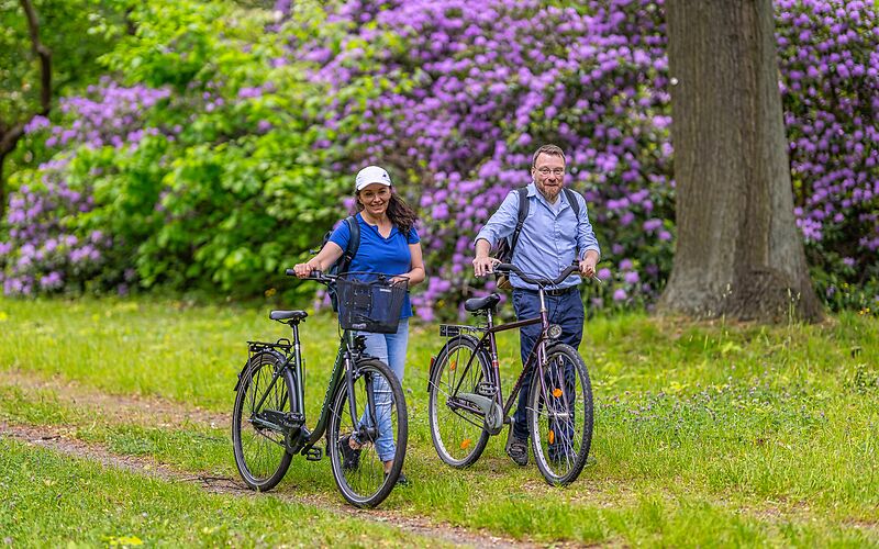 Zwei Radfahrende schieben ihre Fahrräder durch einen Stadtpark. Entlang des Weges blühen große violette Rhododendren.