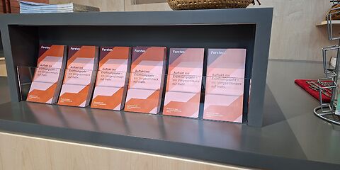 Flyer Forster. Museum