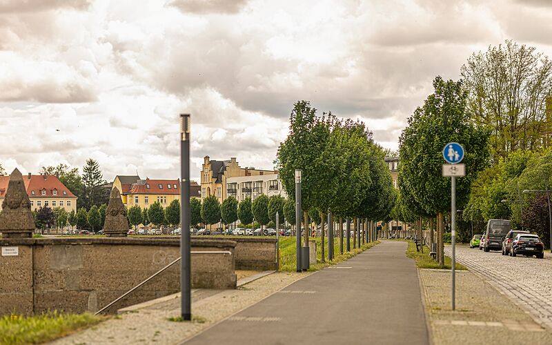Ein breiter Radweg verläuft entlang des Kegeldamms in Forst (Lausitz). Entlang des Weges stehen zahlreiche Bäume. Links ist eine historische Terrasse mit Blick auf die Neiße zu sehen, im Hintergrund befinden sich alte Häuser.