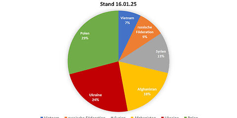 In eine Tortendiagramm ist die Verteilung ausländischer Staatsangehörigkeiten mit Stand vom 16.01.2025 dargestellt. Daten: Vietnam 7 %; russische Föderation: 9 %; Syrien: 13 %; Afghanistan: 18 %; Ukraine: 24 %; Polen: 29 %