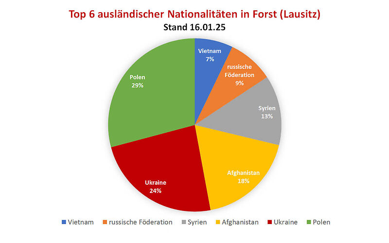 In eine Tortendiagramm ist die Verteilung ausländischer Staatsangehörigkeiten mit Stand vom 16.01.2025 dargestellt. Daten: Vietnam 7 %; russische Föderation: 9 %; Syrien: 13 %; Afghanistan: 18 %; Ukraine: 24 %; Polen: 29 %