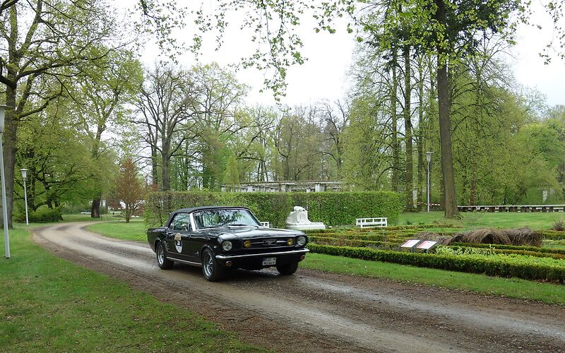 Oldtimer im Ostdeutschen Rosengarten 