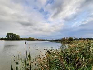 Teich im Naturschutzgebiet Euloer Bruch, Fotograf: Stadt Forst (Lausitz) / EBKTM, Copyright: Stadt Forst (Lausitz) Teich im Naturschutzgebiet Euloer Bruch, Fotograf: Stadt Forst /EBKTM umgeben von hohen Gräsern und Bäumen