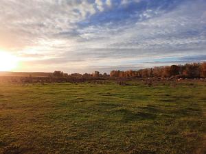 Euloer Bruch im Sonnenuntergang, Fotograf: Stadt Forst Lausitz / EB KTM, Copyright: Stadt Forst (Lausitz) Blick in die Landschaft - Euloer Bruch im Sonnenuntergang - romantische Stimmung