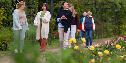 Eine Führung im Rosengarten mit sechs Personen. Im Vordergrund sind gelbe Rosen zu sehen. 