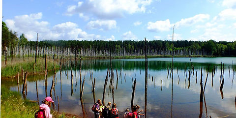 Blick auf die alte Grube bei Weißwasser