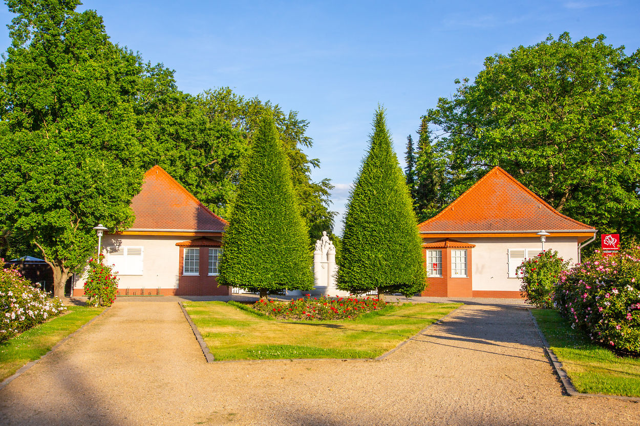 Ostdeutscher Rosengarten in Forst (Lausitz) - Magisches, Musikalisches und  Heiteres inmitten blühender und duftender Rosen