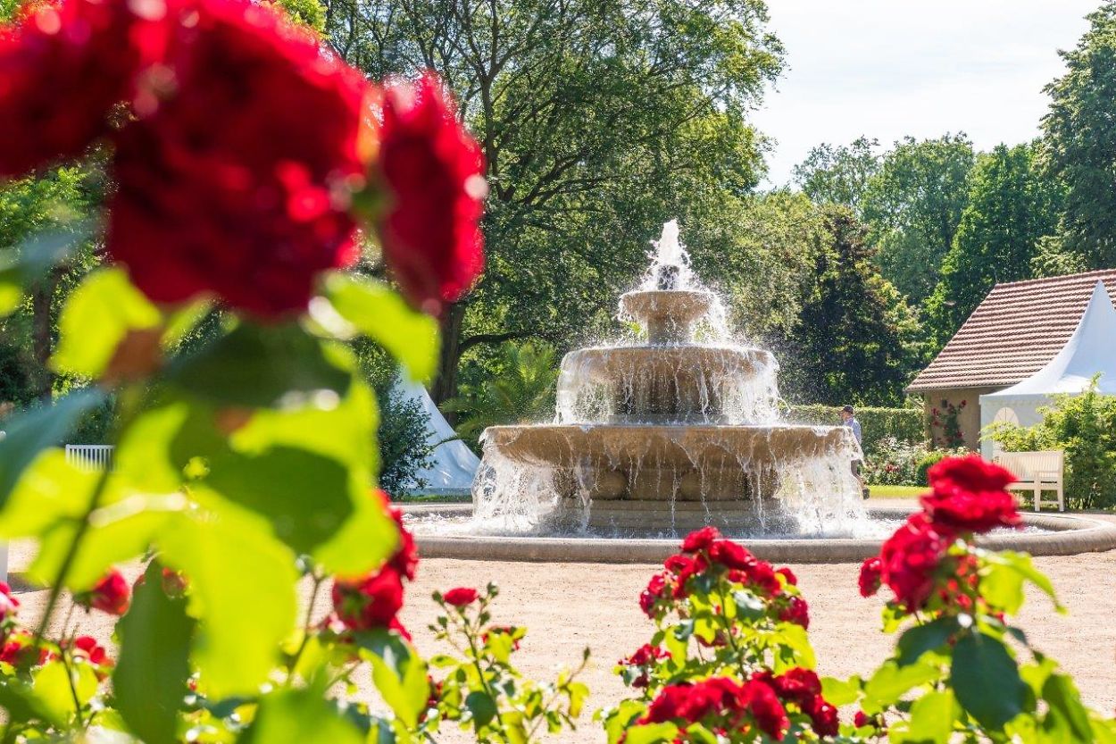 Stadt Forst (Lausitz) - Ostdeutscher Rosengarten Forst (Lausitz)