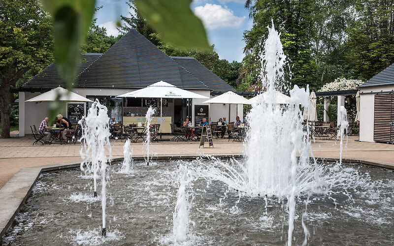 Wasserspiele im Rosenpark des Ostdeutschen Rosengartens