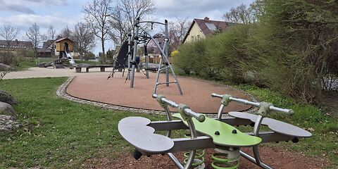 Eine Federwippe mit grünen Federn, die an einem grünen Brett in der Mitte befestigt sind. Links und rechts hat die Wippe breite Seite sowie Metallstangen zum Festhalten und Füße abstützen.
