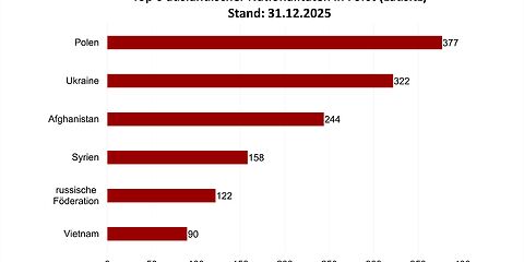 Balkendiagramm mit den 6 häufigsten Nationalitäten in Forst (Lausitz): Polen 377, Ukraine 322, Afghanistan 244, Syrien 158, russische Föderation 122, Vietnam 90