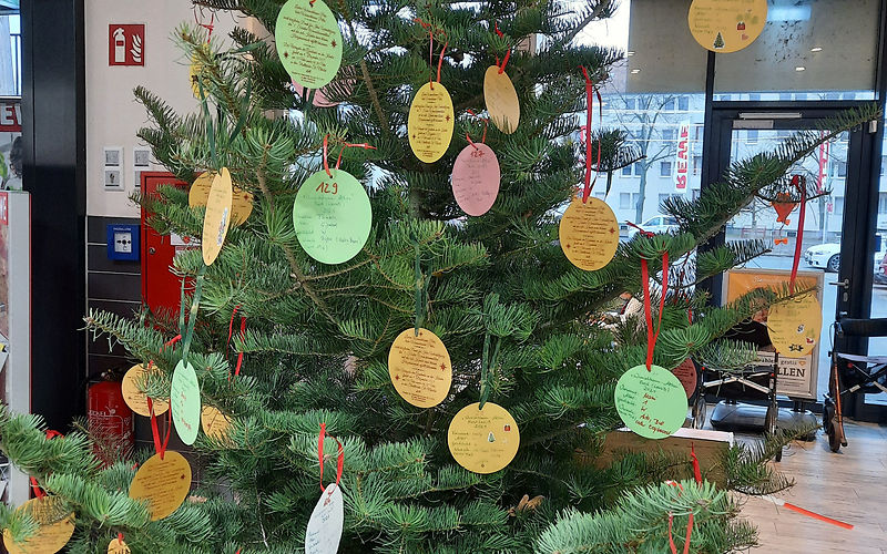 Baum im Eingangsbereich des Forsters REWE mit Papierkugeln, auf denen Wünsche notiert sind