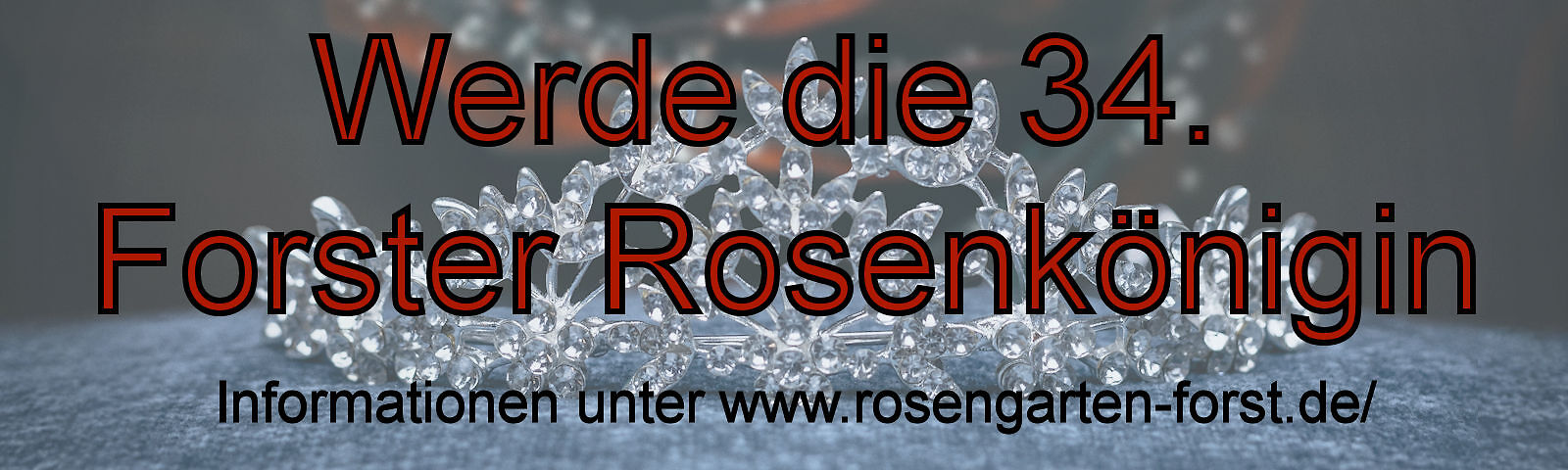 Dunkelrote Schrift: "Werde die 34. Forster Rosenkönigin", darunter in kleinerer schwarzer Schrift: "Informationen unter www.rosengarten-forst.de/" Hintergrund: eine filigrane silberne Krone auf einem blauen Kissen.
