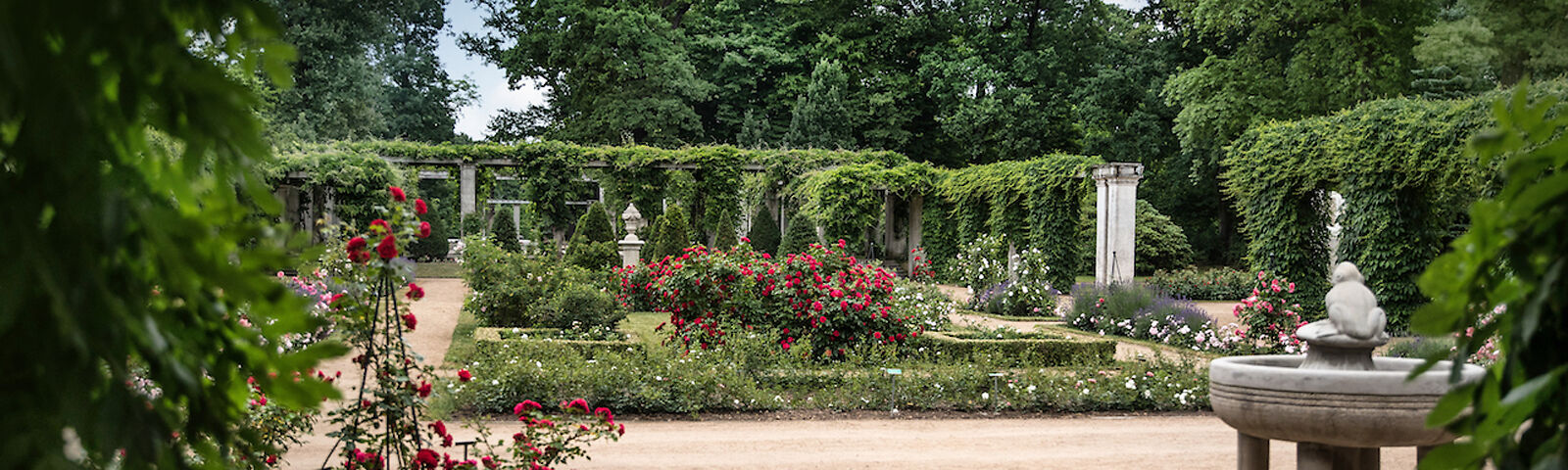 Der Froschbrunnen im Pergolenhof im Wehrinselpark
