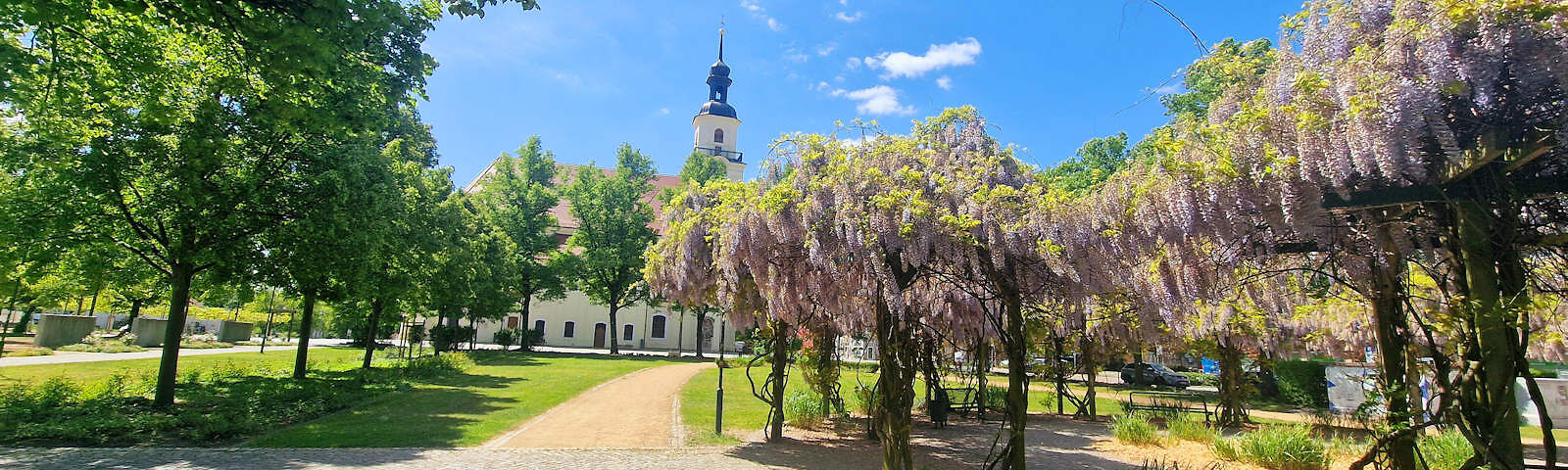 Blick auf die Stadtkirche St. Nikolai hinter dem Stadtpark bei Sonnenschien.