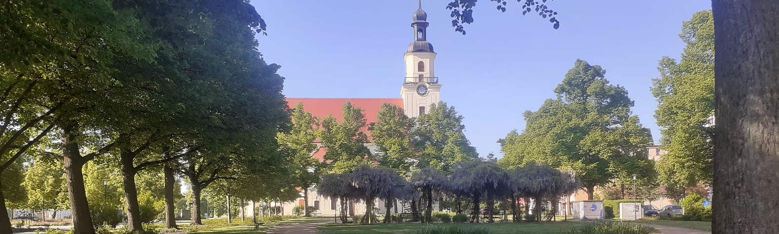 Blick auf die Stadtkirche St. Nikolai hinter dem Stadtpark bei Sonnenschien.