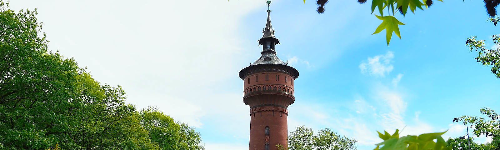 Zu sehen ist eine Teilansicht (oberer Teil) des Forster Wasserturms umringt von grünen Bäumen