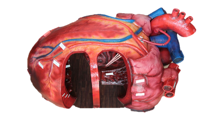 Stadt Forst Lausitz Das Forster Tuch